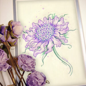 Photograph of a matted print of a colored pencil and graphite drawing of a purple scabiosa flower. The flower has long purple petals, and small blue and purple petals in the center creating the anther. The green stem twists slightly in a swaying motion. Tiny green fairy wings are hidden among the long green leaves of the stem. The mat-board is white on the top layer and silver on the second layer. Purple roses rest on top of the print to the left. A small silver stamp with the Terratoff icon is at the bottom left corner of the print, under the roses.
